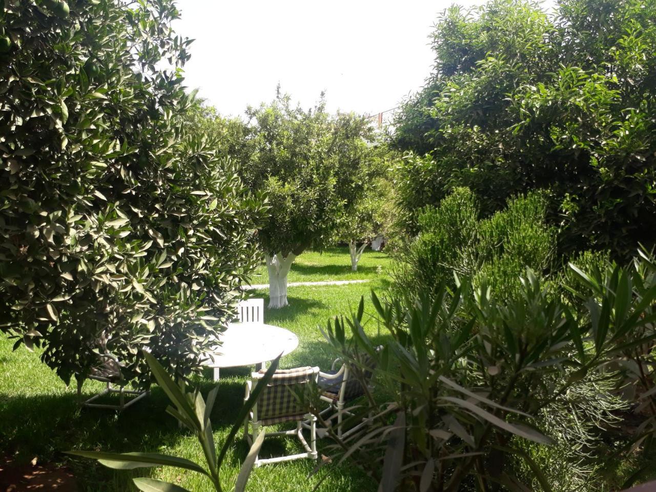 Almounia Hotel & Spa Taroudant Exterior photo